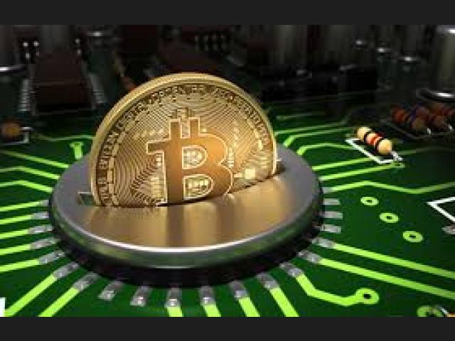 7 países que están formando ecosistemas de pagos compatibles con criptomonedas ¿Adivina cuáles son?